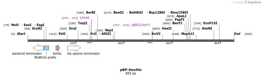 140716_map