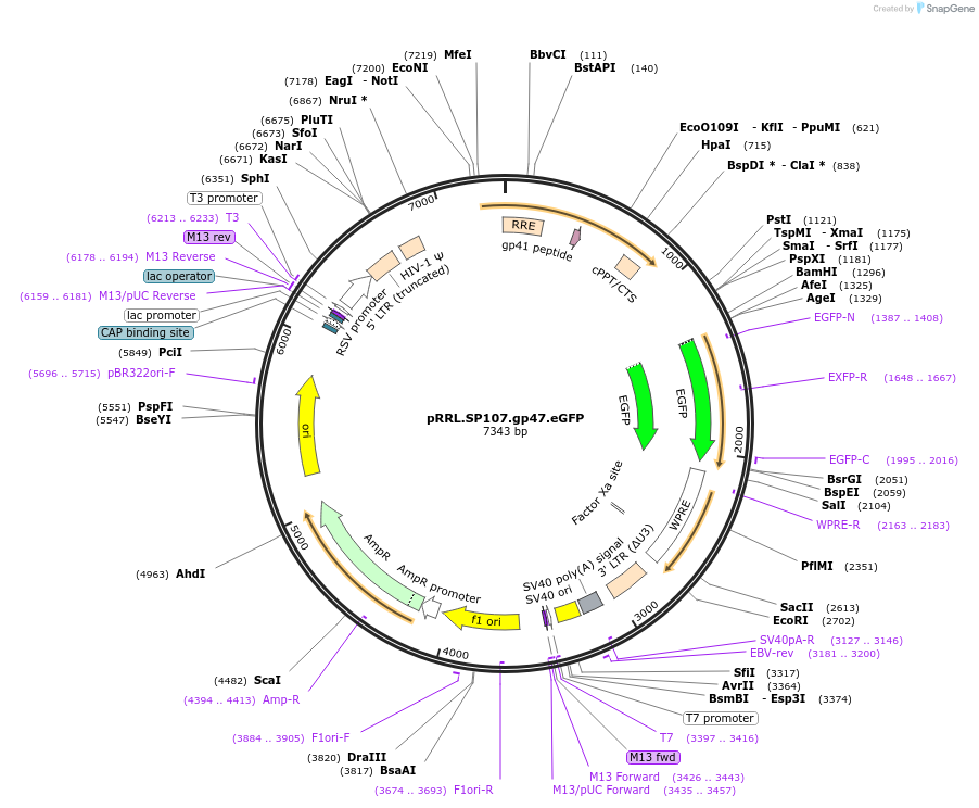 14072_map