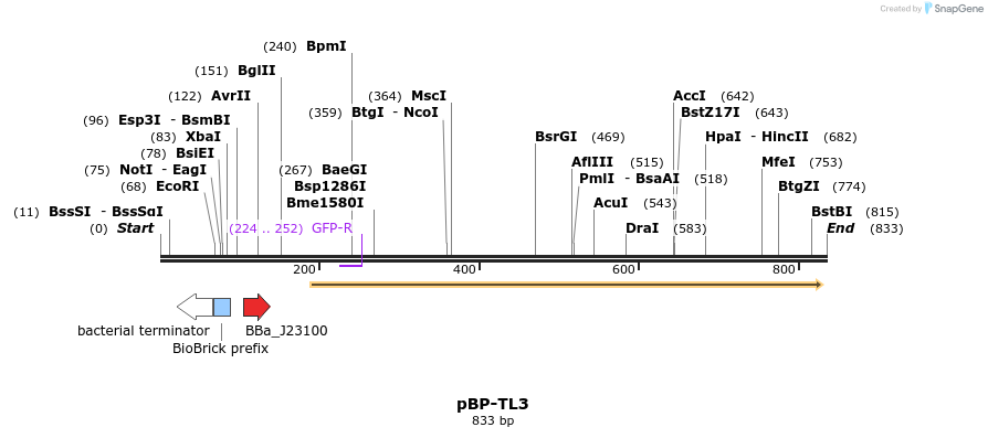 140727_map