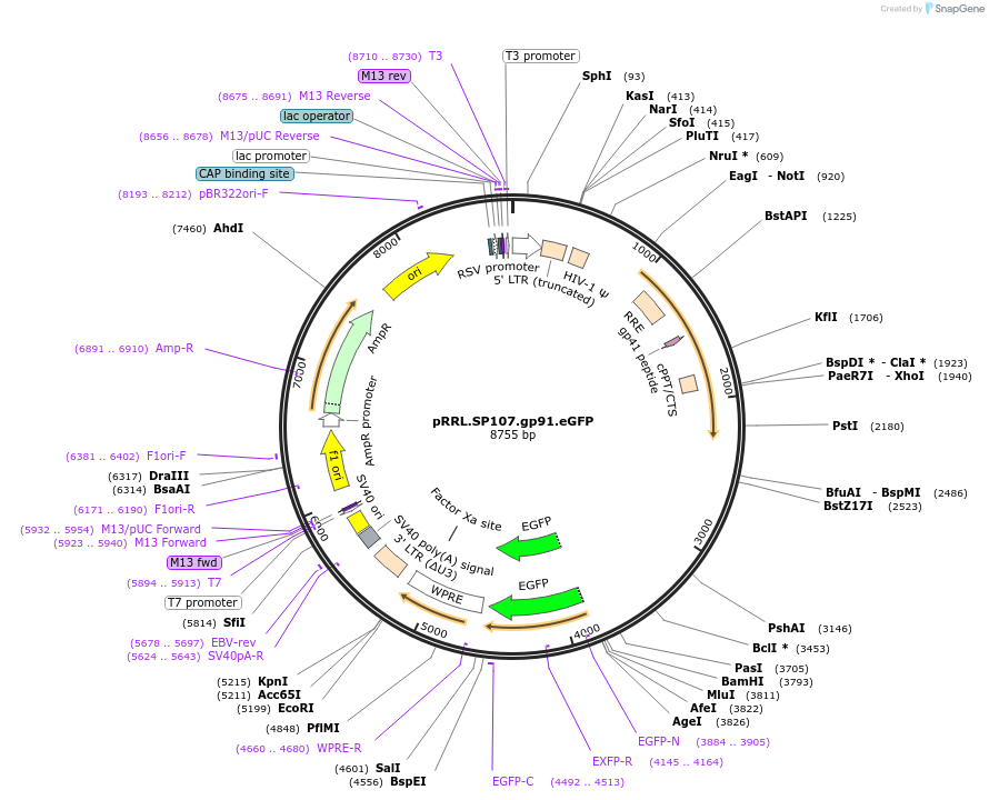 14073_map