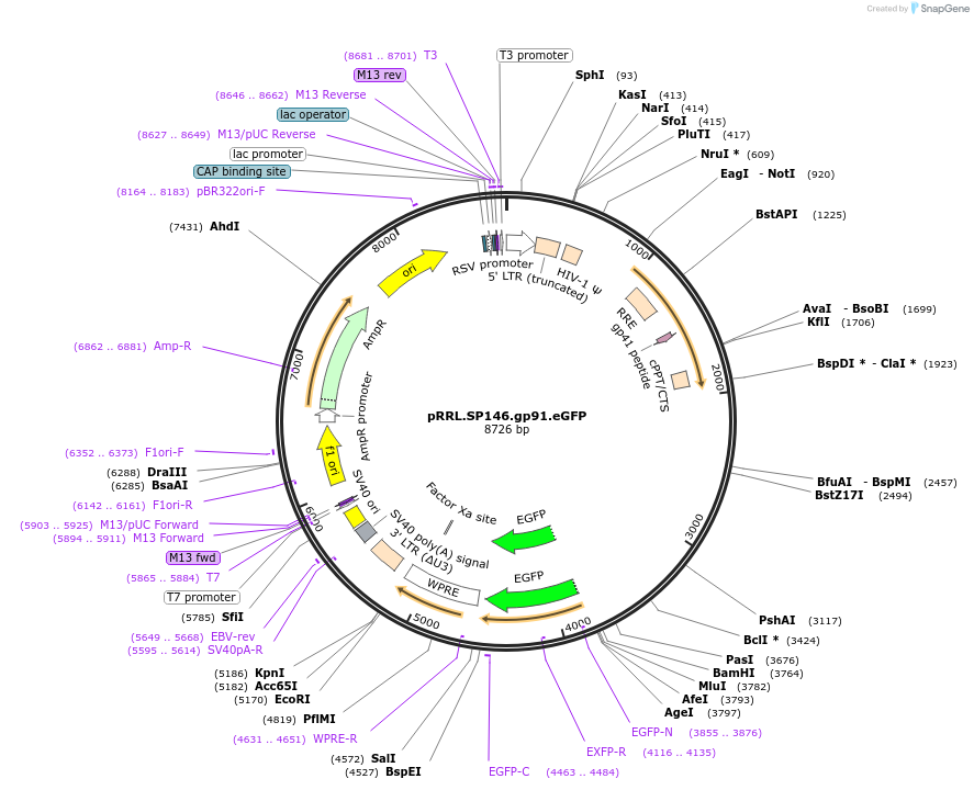 14074_map