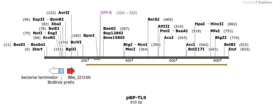 140740_map