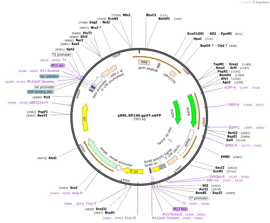 14075_map