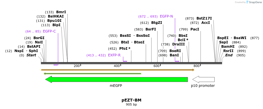 140750_map