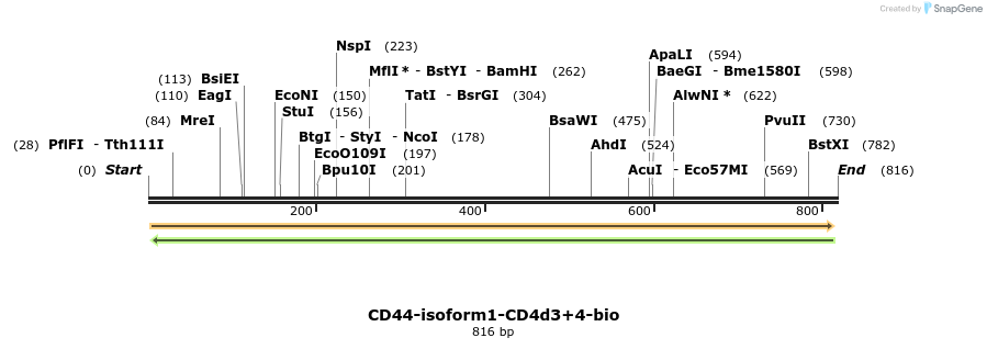 140751_map