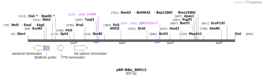 140752_map