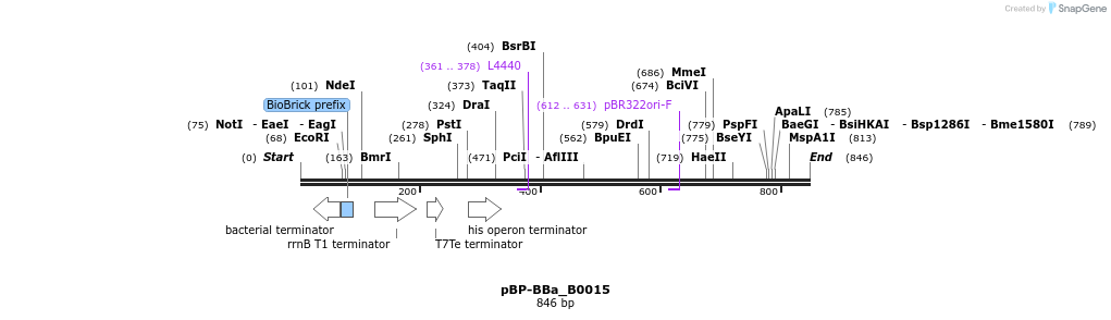 140755_map