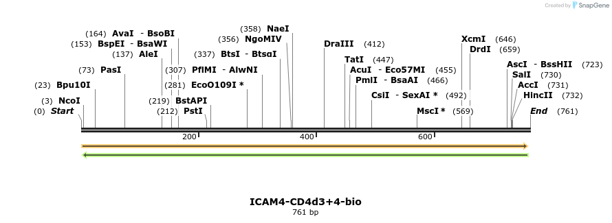 140763_map