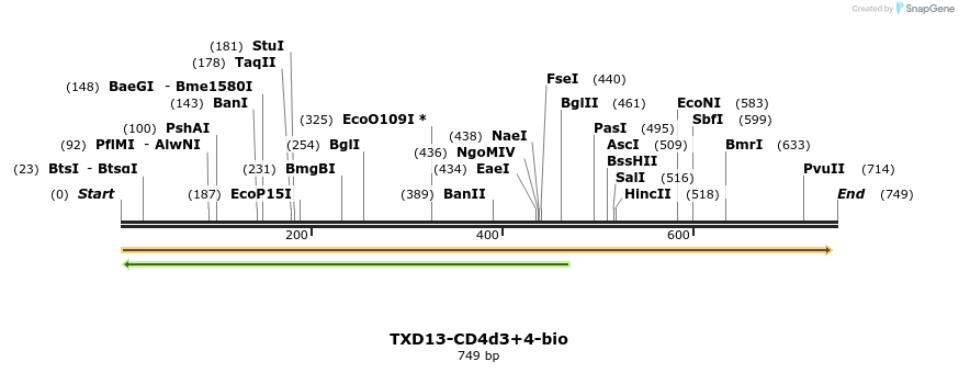 140767_map