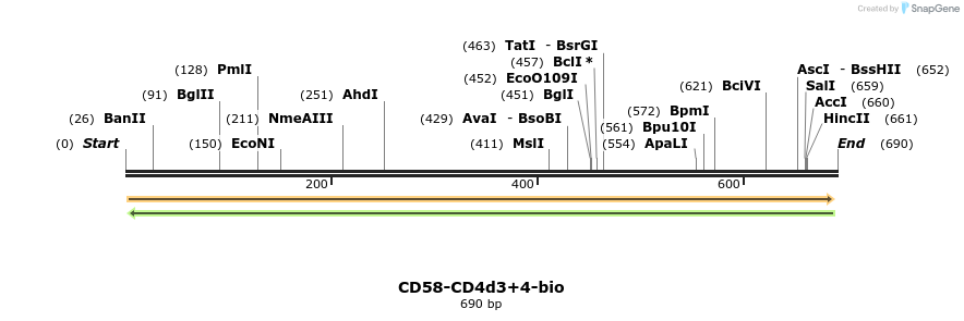 140775_map