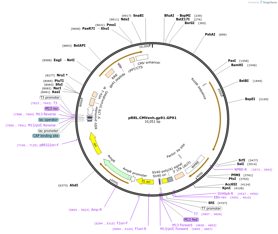 14078_map
