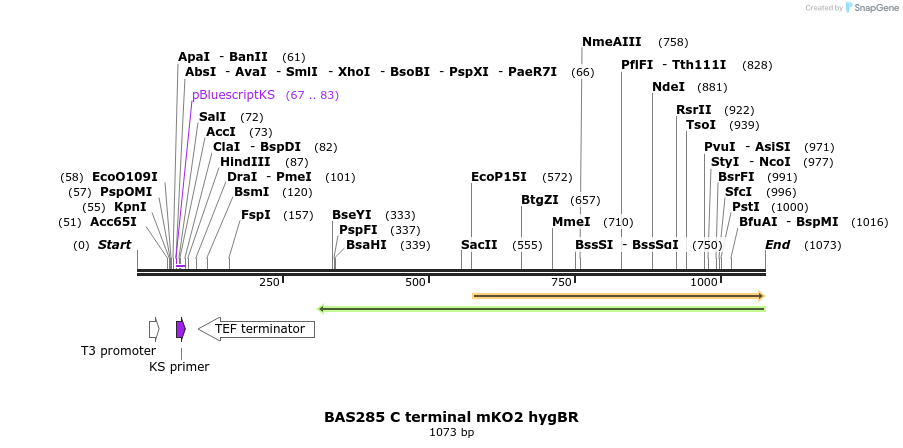 140783_map