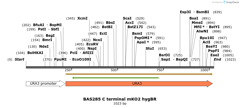 140784_map