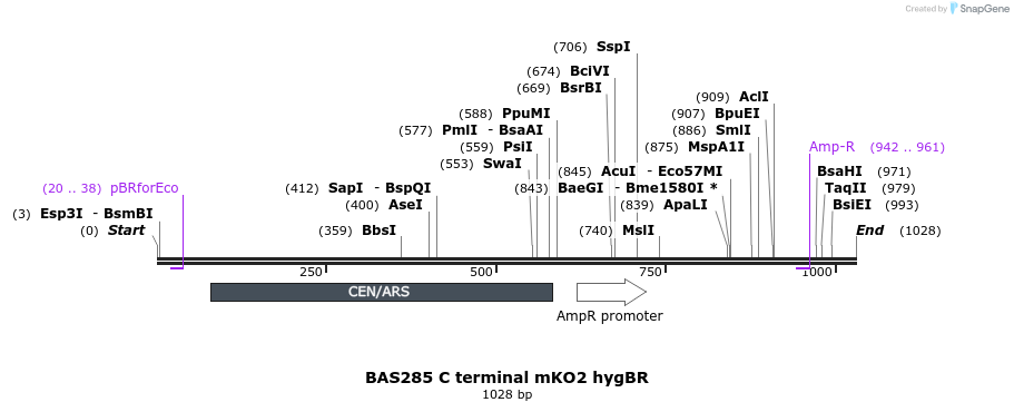 140785_map