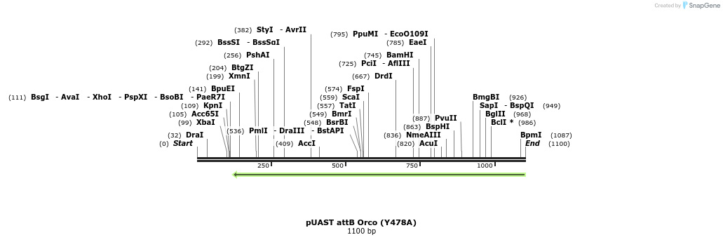 140786_map