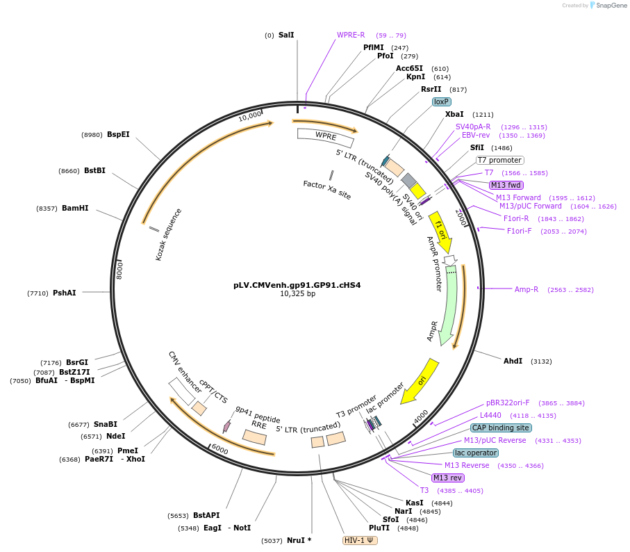14079_map