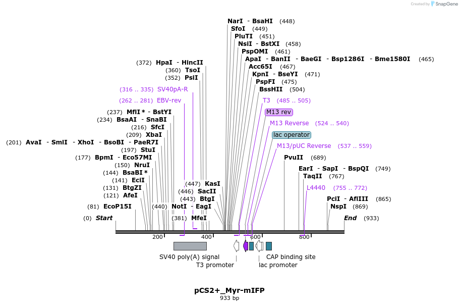 140793_map