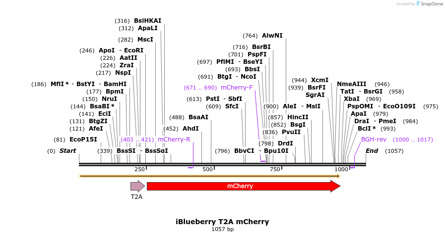 140795_map