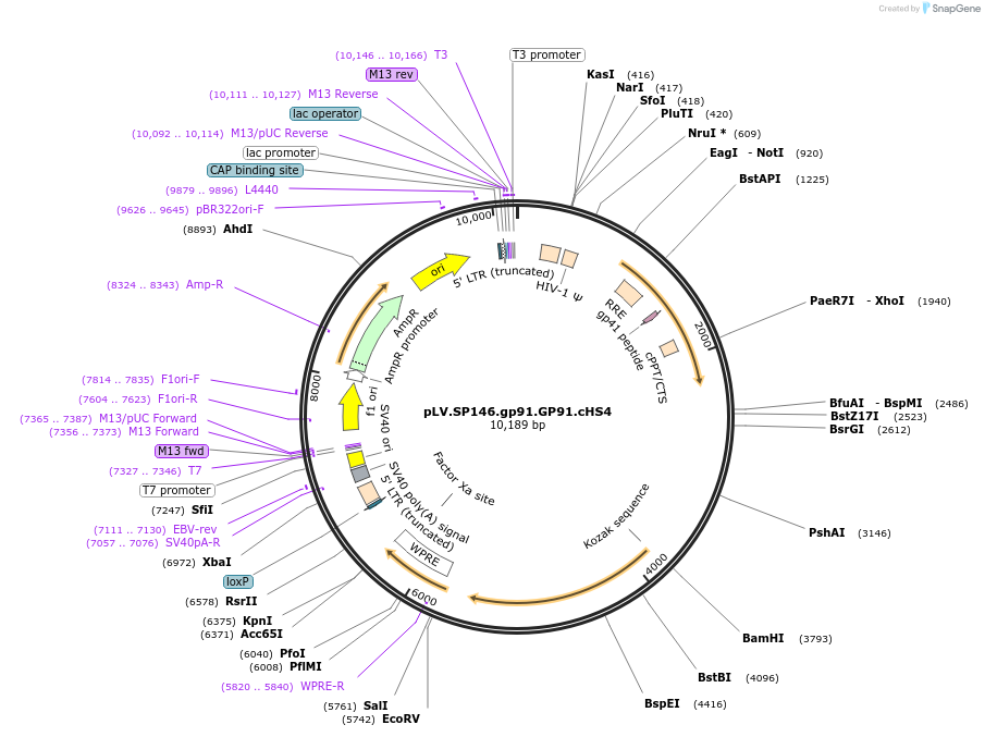 14080_map