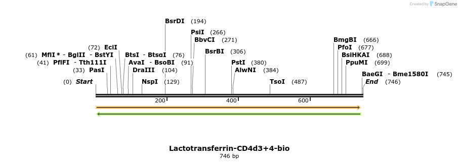 140806_map