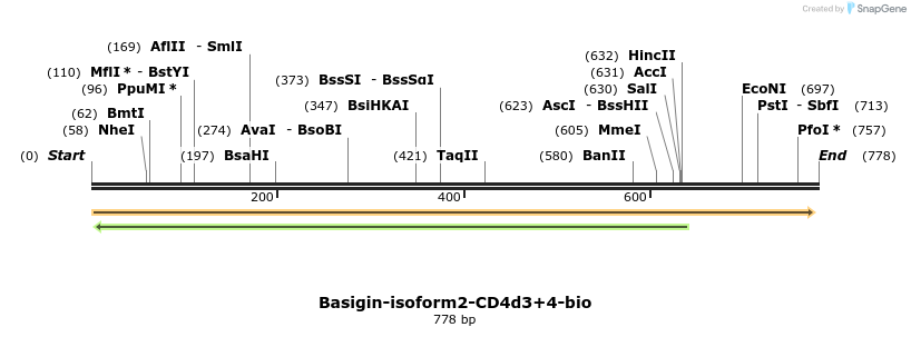 140811_map