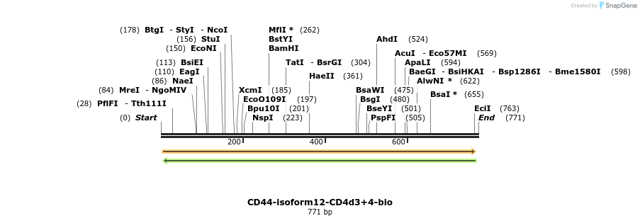 140812_map