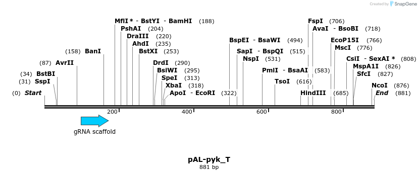 140815_map