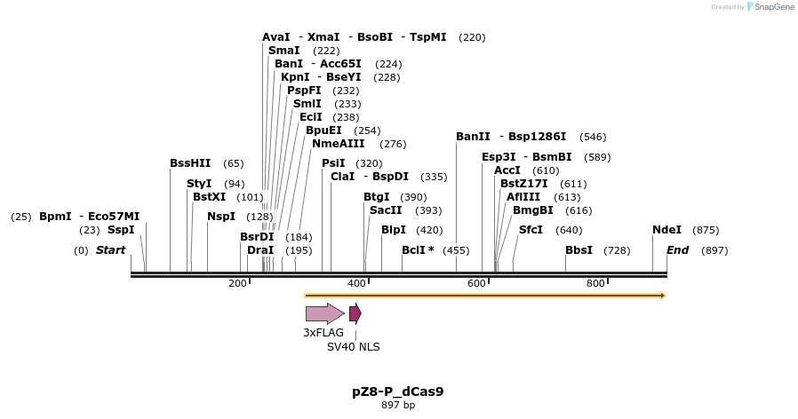 140821_map
