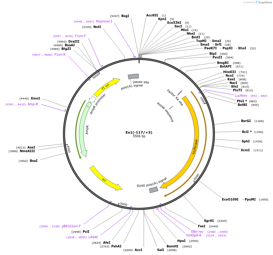 14083_map