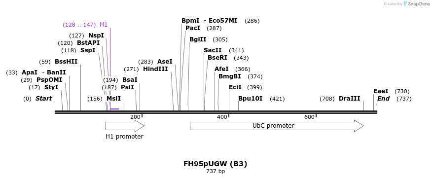 140832_map