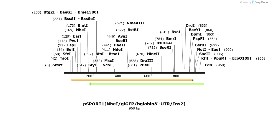 140850_map