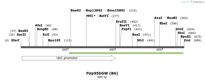 140851_map
