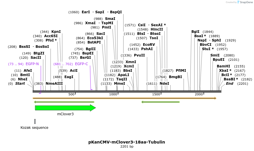 140857_map