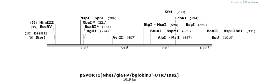 140859_map
