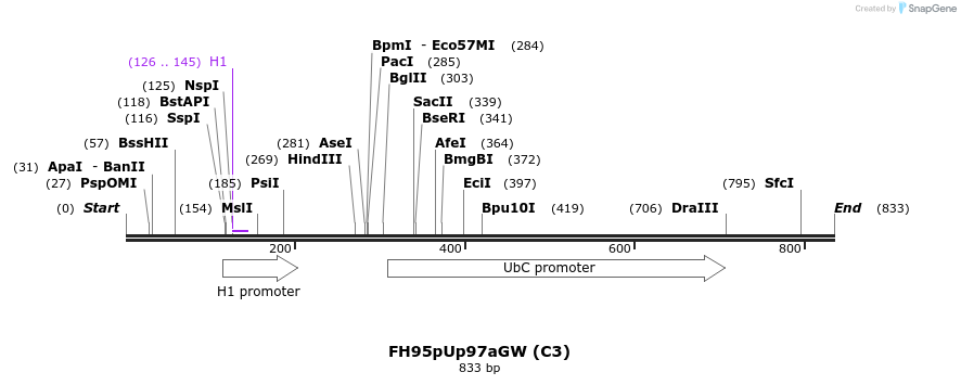 140861_map