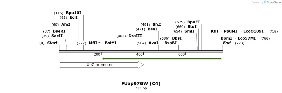 140863_map