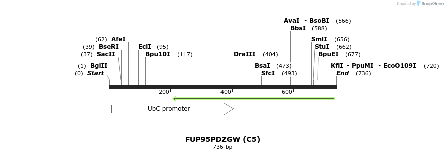 140864_map