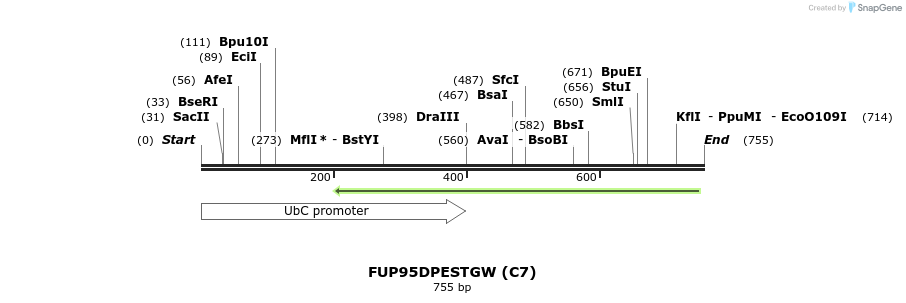 140871_map