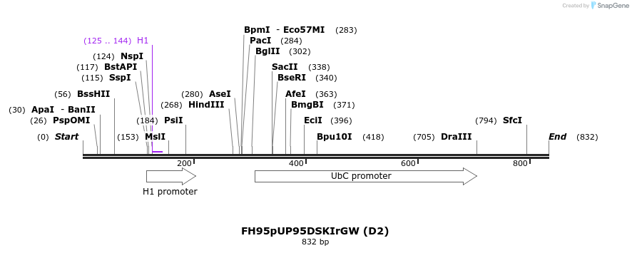 140875_map
