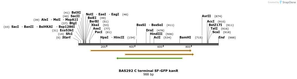 140880_map