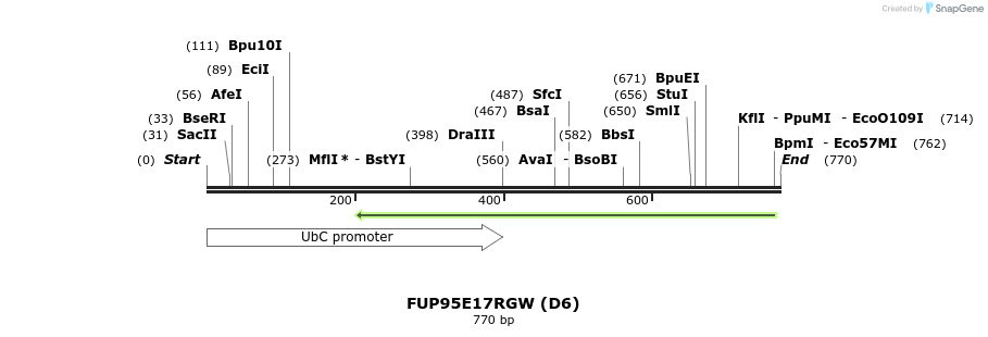 140881_map