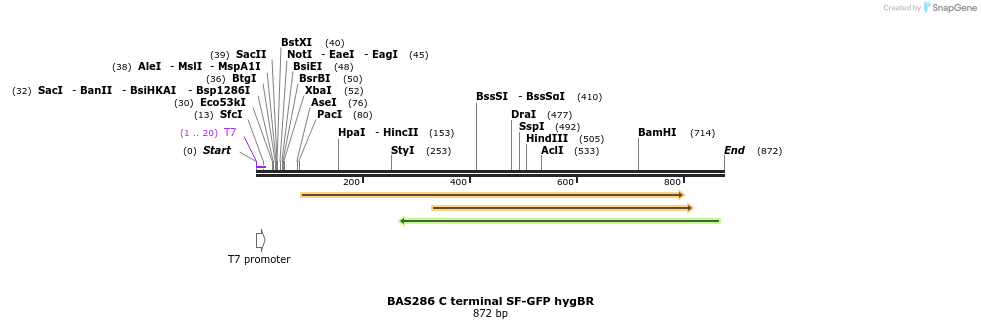 140885_map
