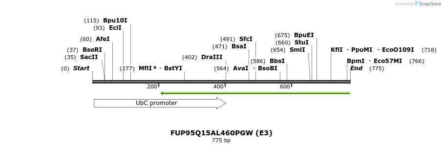 140891_map