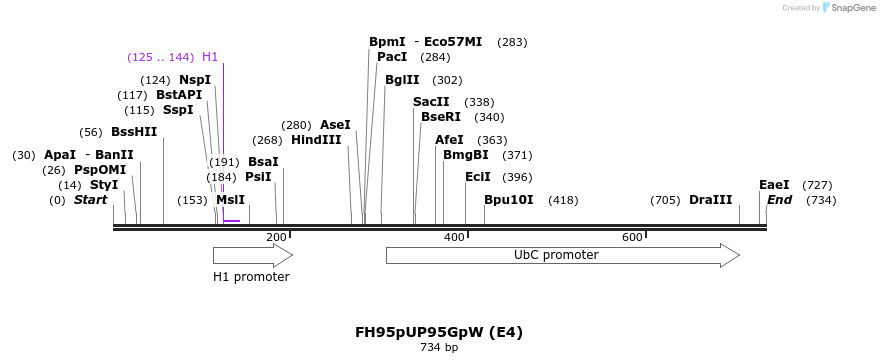 140892_map