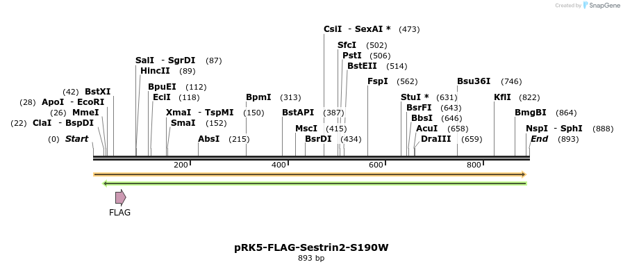 140896_map
