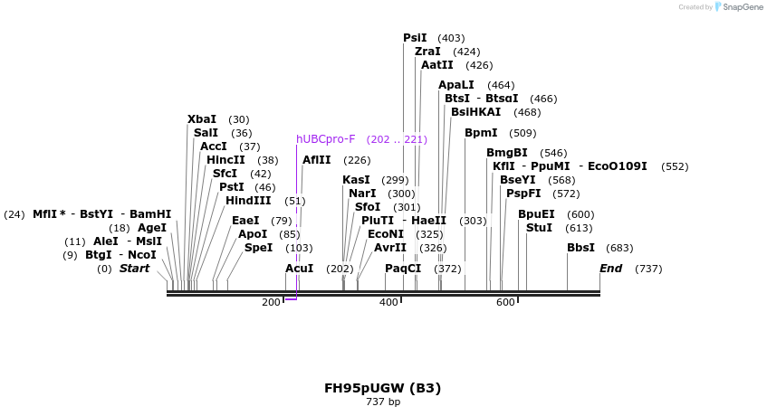 140899_map