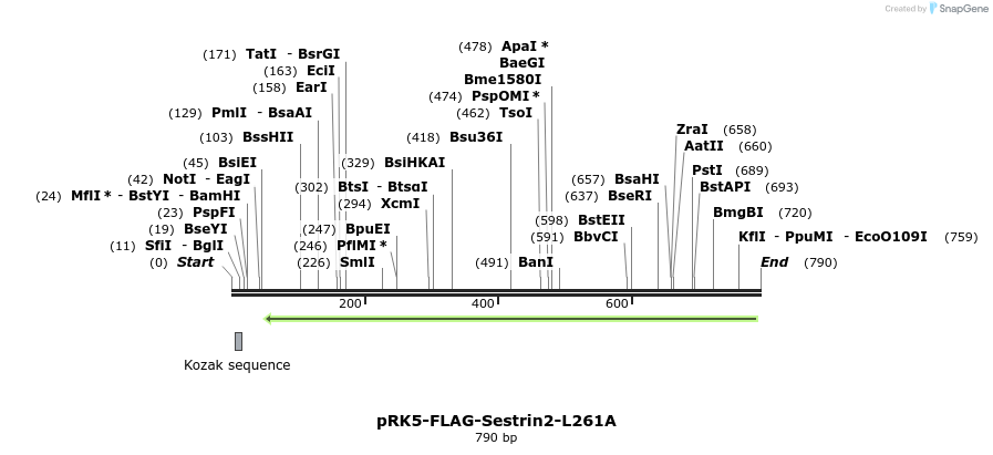 140904_map