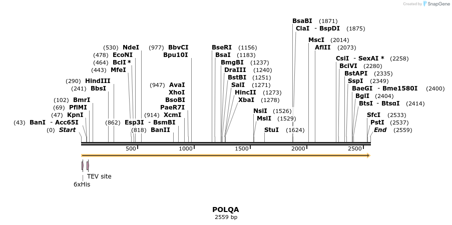 140906_map
