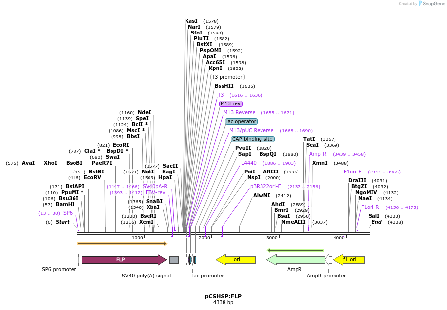 14092_map
