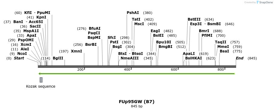 140931_map